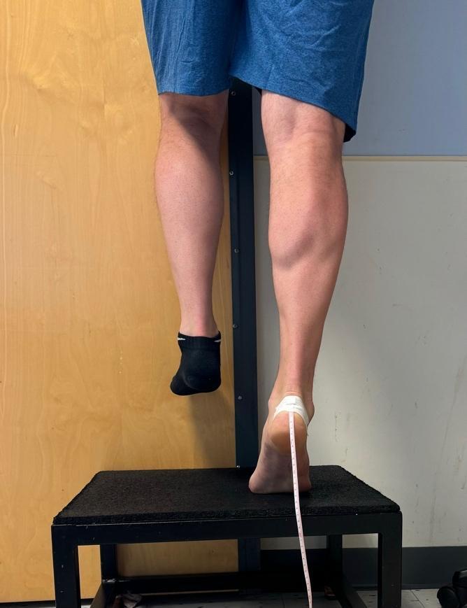 Standing heel rise test