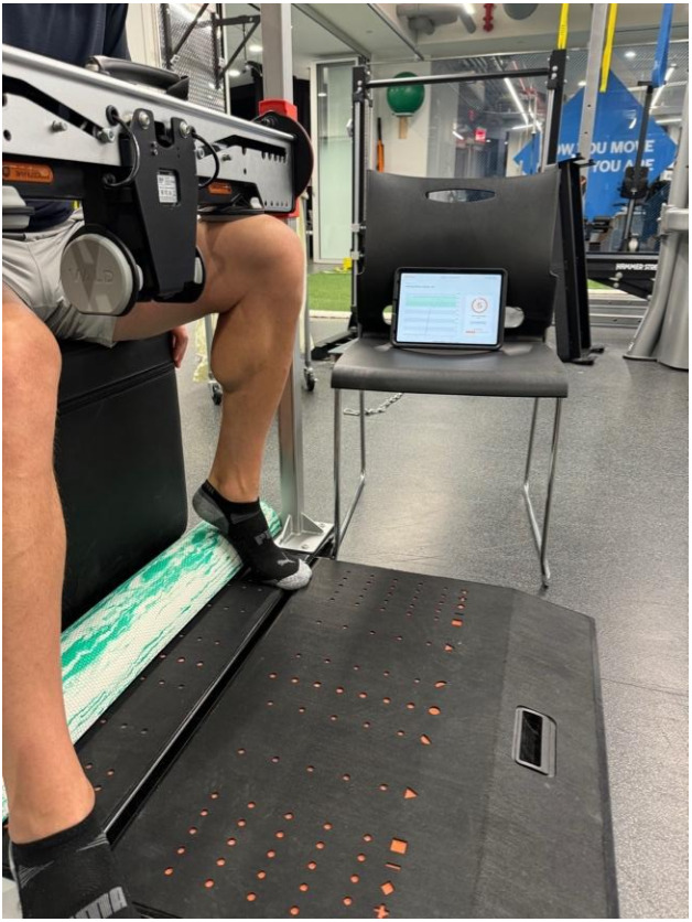 Sub-maximal plantar flexor isometrics