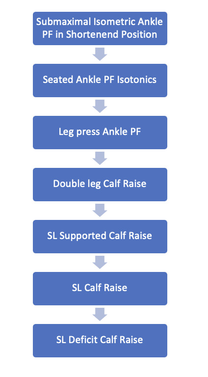 Sample ankle plantar flexor progression